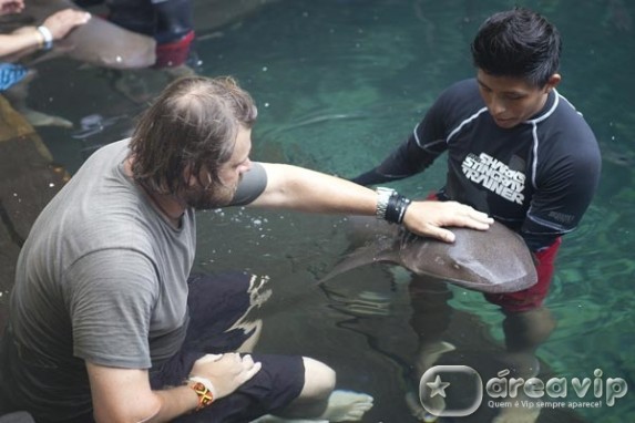 Richard nada com tubarões e peixe-boi no sul do México