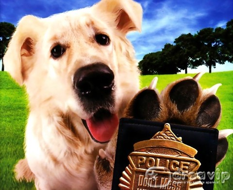 Sessão da Tarde exibe o filme “Cop Dog – O Cão Policial”