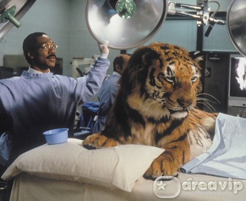 Sessão da Tarde exibe o filme “Dr. Dolittle”