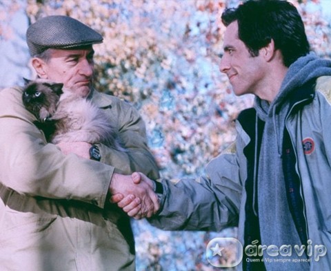 Filme - Entrando numa Fria