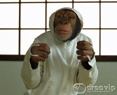 Sessão da Tarde exibe o filme “Spymate – O Agente Animal”