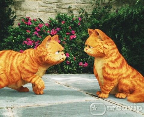 Sessão da Tarde exibe o filme ‘Garfield 2’