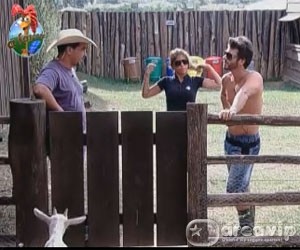 Clebis da bronca em Raquel