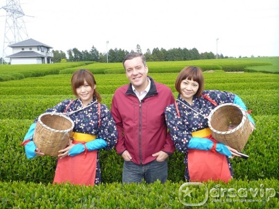 “Jornal Hoje” mostra a tradição do chá verde na série do ‘Sabores do Japão’