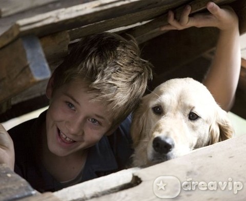 Filme - Confusão pra cachorro