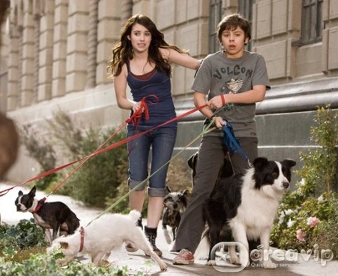 Tela Quente exibe o filme ‘Um Hotel Bom Pra Cachorro’