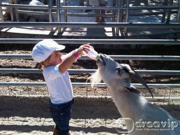 Filha de Ticiane Pinheiro dá mamadeira a bode em Miami