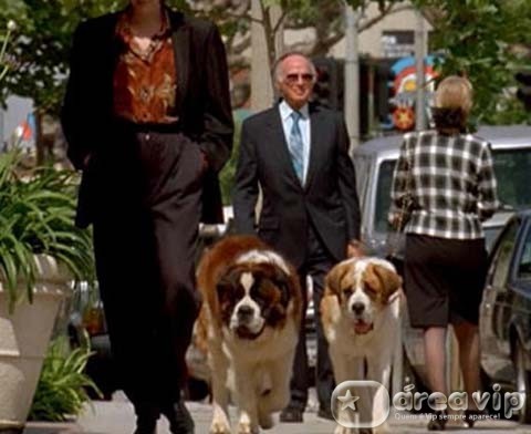 Sessão da Tarde exibe o filme ‘Beethoven 2’