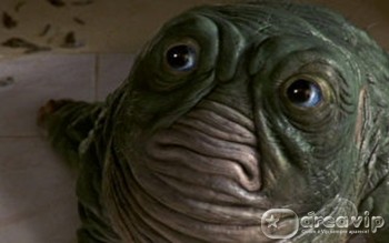 Sessão da Tarde exibe o filme ‘Evolução’