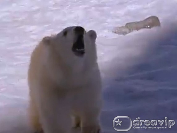 Cine Família exibe o filme ‘Alaska, uma Aventura Inacreditável’