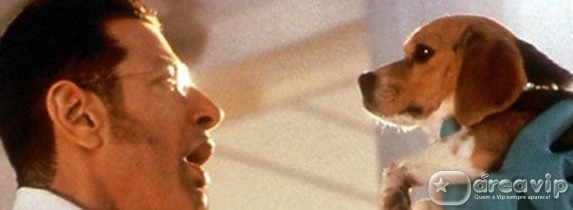 Sessão da Tarde exibe o filme ‘Como Cães e Gatos’