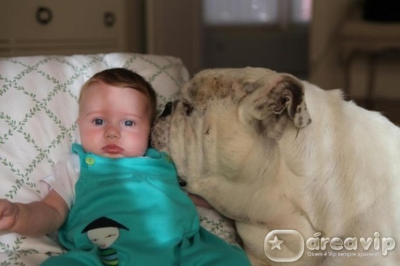 Mulher de Fábio Assunção posta foto da filha ao lado de cachorro