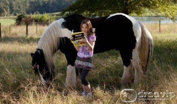 Filme - Whitney Brown