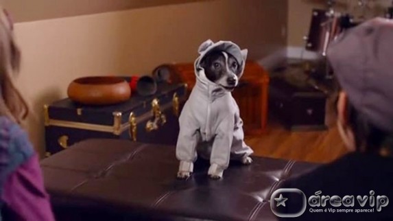 Sessão da Tarde exibe o filme ‘Cachorro Vampiro’