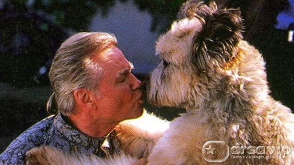 Sessão da Tarde exibe o filme ‘Karatê Dog’