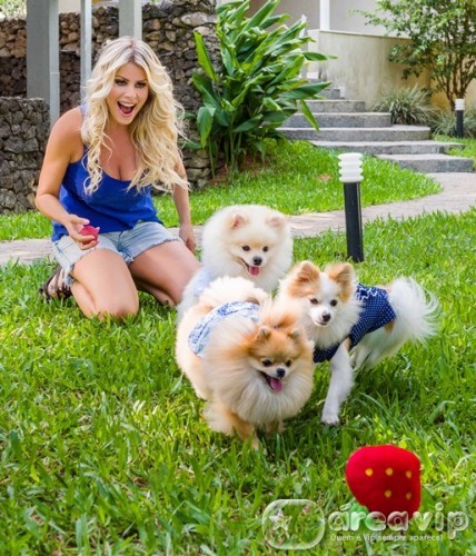 Karina Bacchi e seus pets gravam nova campanha para marca de rações