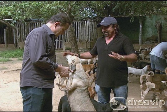 ‘Conexão Repórter’ mostra histórias de defensores dos animais