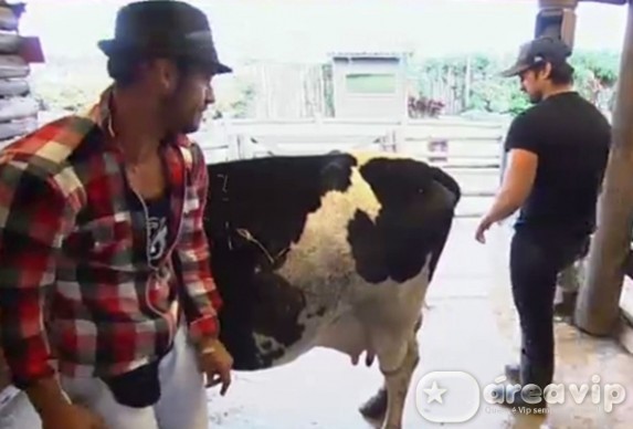 A Fazenda 7 - Diego e Leo Reprodução/Rede Record