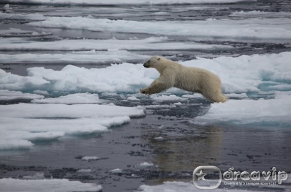 Planeto Extremo - Circulo Polar Artico Globo / Divulgação
