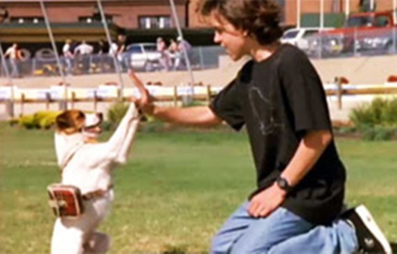 Cine Aventura exibe o filme ‘Falando pra cachorro’