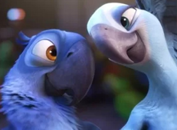 Tela Quente exibe o filme ‘Rio’