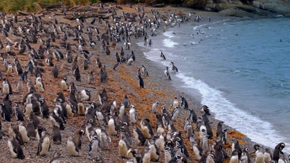 Globo Repórter exibe ‘Uma viagem ao fim do mundo’