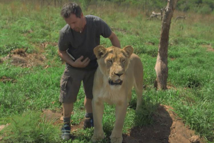 Kevin Richardson - Encantador de leões Divulgação/SBT