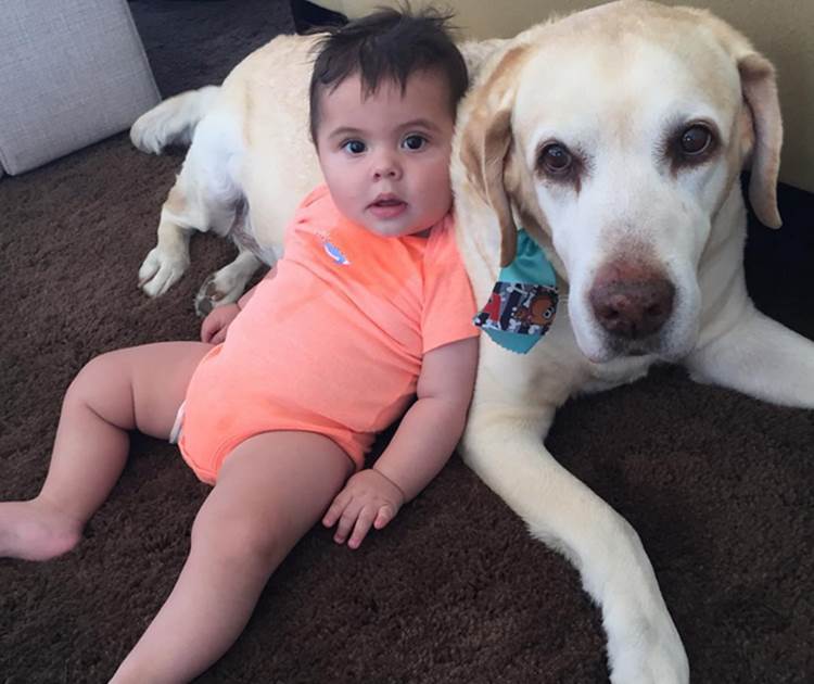 Luisa Mell posta foto do filho com o cachorro