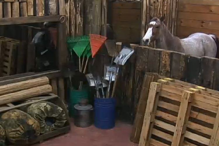 A Fazenda 8 - Baia Reprodução/Rede Record