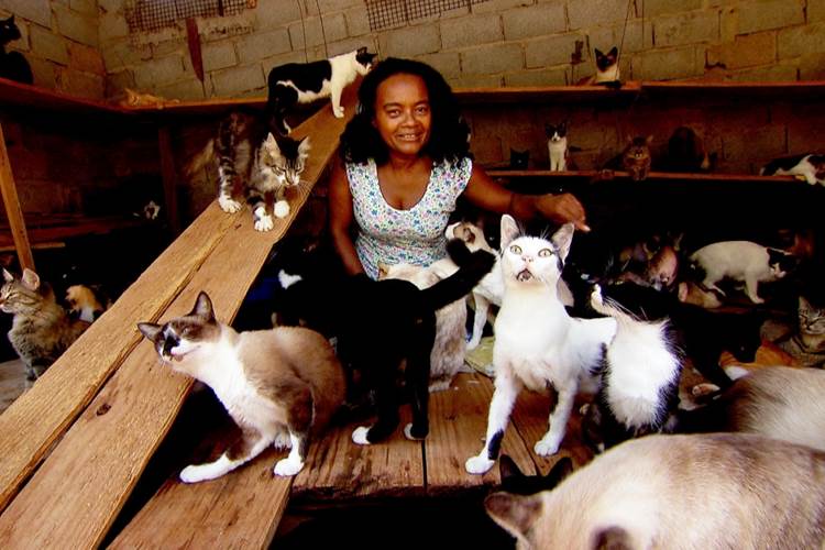 ‘Câmera Record’ mostra casa de acumuladora que tem mais de 200 animais