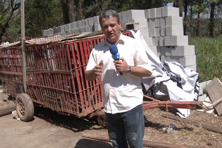 “Documento Verdade” exibe reportagem especial sobre maus-tratos e abandono de animais