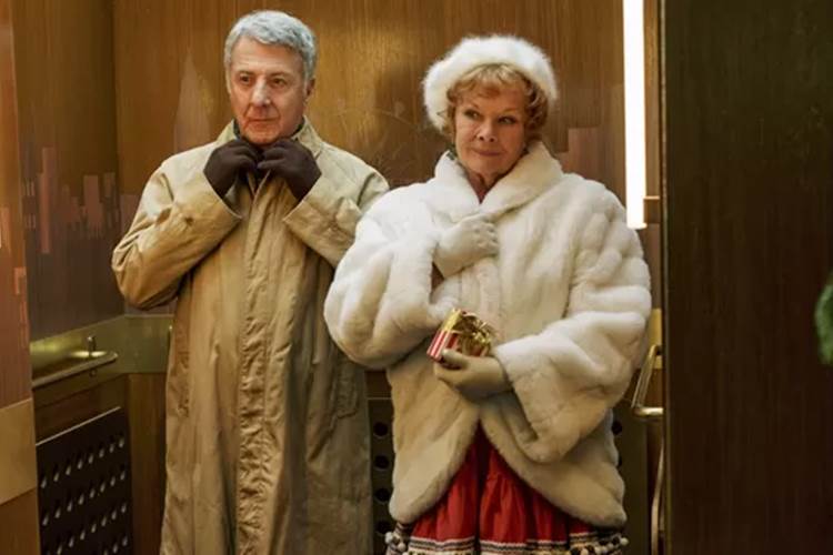 Sessão da Tarde exibe o filme inédito ‘Um Amor de Estimação’