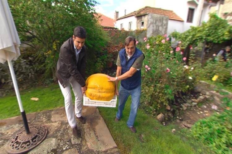 ‘Globo Repórter’ mostra Portugal pela estrada das águas