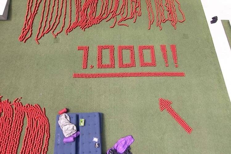 BBB16 - Brothers realizam tarefa Reprodução/BBB/TV Globo