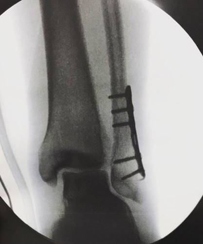 Reprodução/Instagram/fabioassuncaooficial