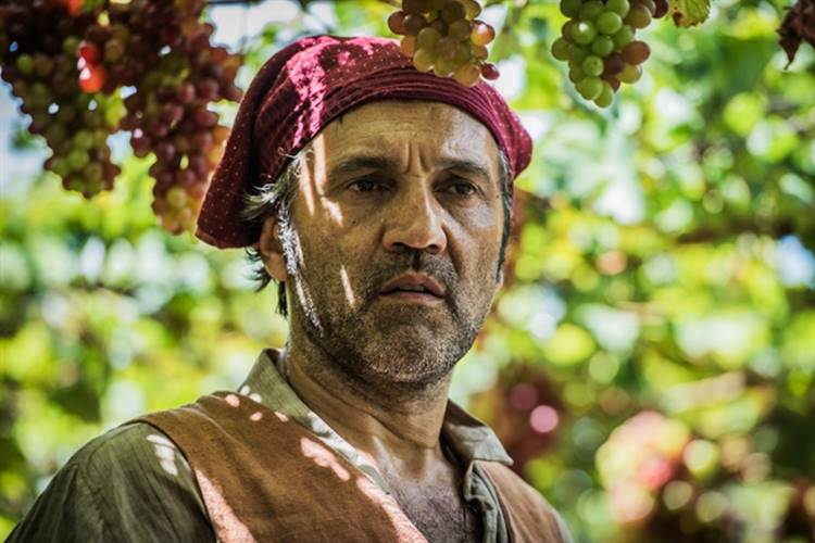 Velho Chico - Santo Globo/Caiuá Franco