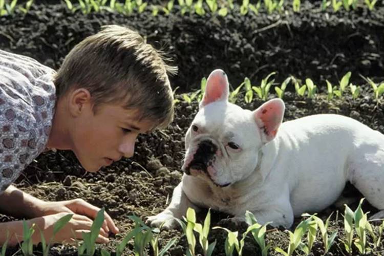Filme - Lições para Toda a Vida Reprodução/TV Globo