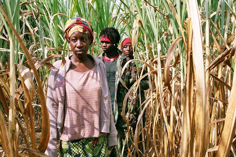 TV Brasil prepara especiais para celebrar a Semana da Consciência Negra