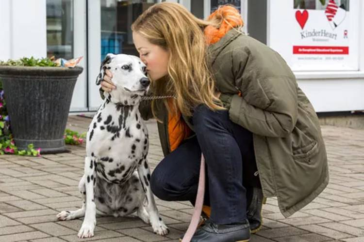 Sessão da Tarde exibe o filme ‘Um Amor Verdadeiro’
