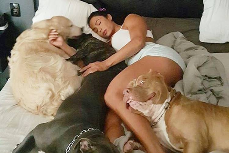 Na companhia de cães, Gracyanne Barbosa tira soneca em dia de descanso