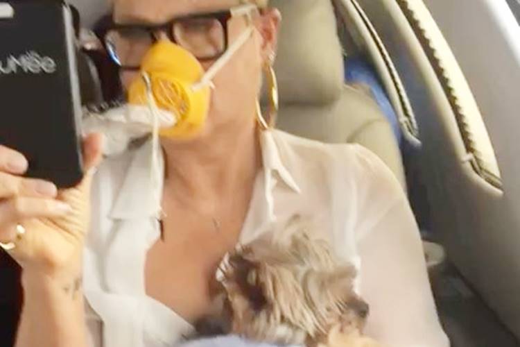 Xuxa Reprodução/Instagram