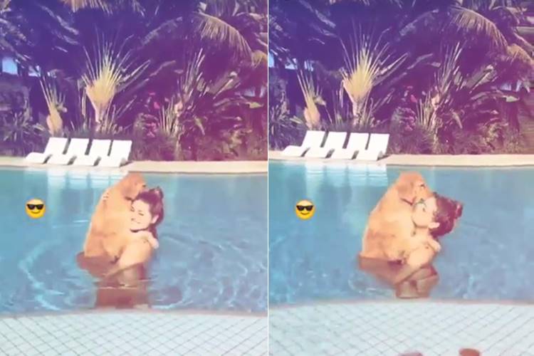 Sasha Meneghel se diverte na piscina com cachorro