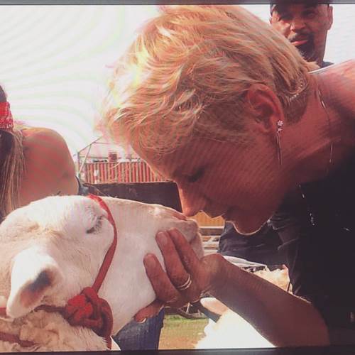 A Fazenda - Xuxa/Instagram