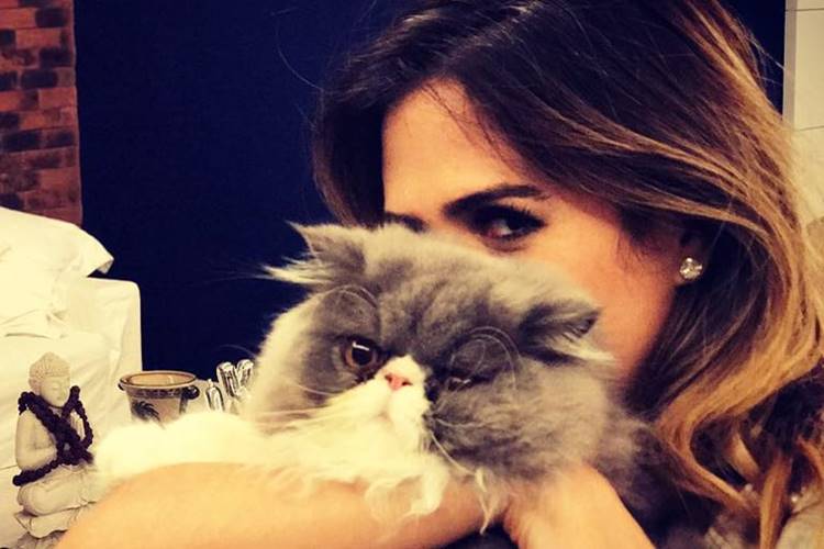 Tatá Werneck Tatá Werneck/Instagram