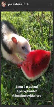 Post - Giovanna Ewbank Post - Giovanna Ewbank/Instagram