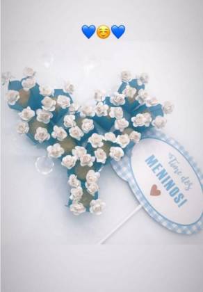 Stories de Isis Valverde/Instagran