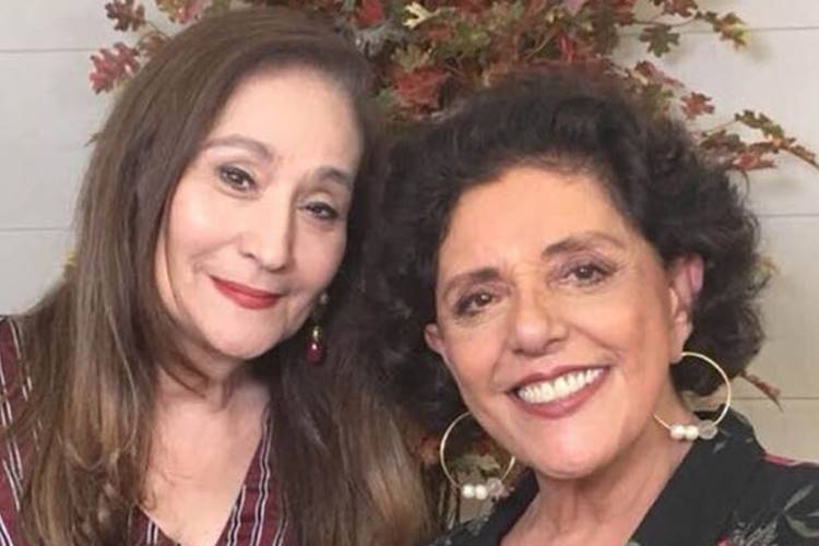 Sônia Abrão fala sobre fama de ‘coveira da TV’ – Veja o vídeo!