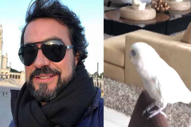 Padre Fabio de Melo protagoniza cena hilária com papagaio de Xuxa Meneghel – Assista