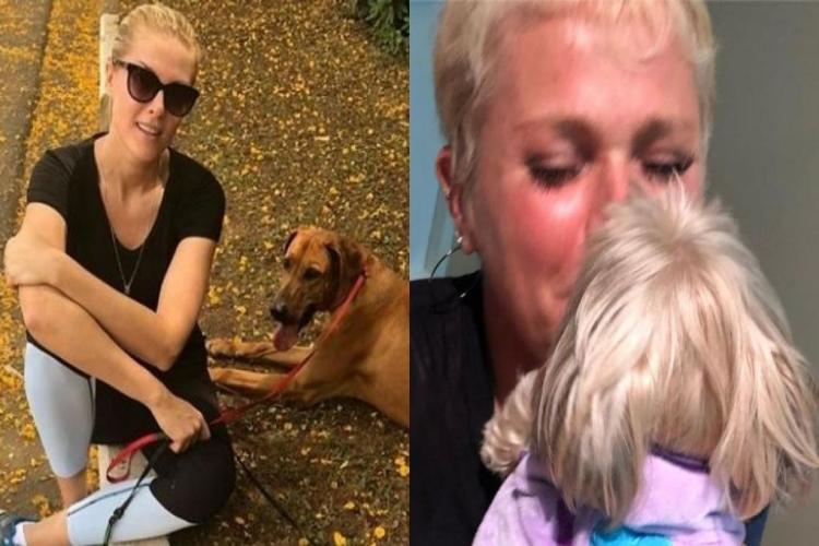 Ana Hickmann e Xuxa se manifestam em relação ao assassinato de cachorro no Carrefour