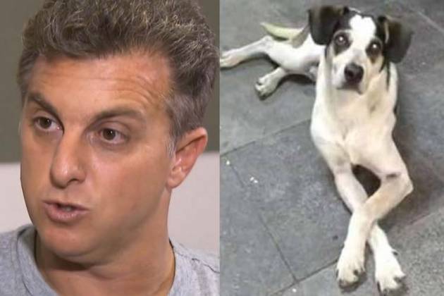 Luciano Huck e Cachorro agredido por funcionário do Carrefour - Foto/TV Globo/Divulgação